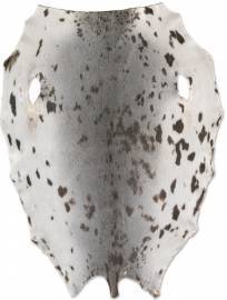 Gr�nlandss�l - Natur - C
