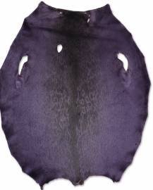 Rings�l - Chinese Violet LH - C
