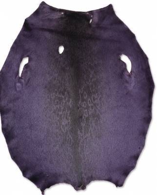 Rings�l - Chinese Violet LH - D